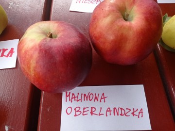 Szkolenie sadownicze w Plichtowie 22.09.2021r. fot. KR.Sosnowska, 